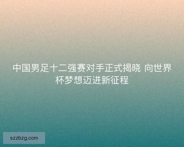 中国男足十二强赛对手正式揭晓 向世界杯梦想迈进新征程